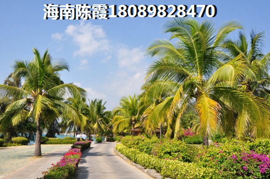 江苏优势和缺点的解读