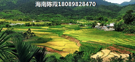 鲁郎山小镇旅游攻略一日游