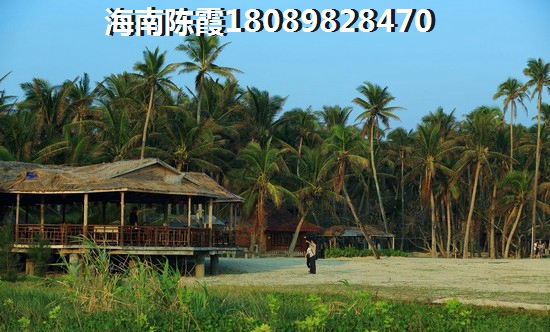 紫油降真香粉的香味和适用场景