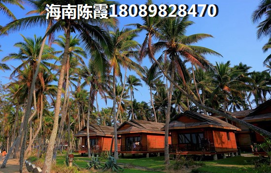 插上科学的翅膀飞关于恐龙时代